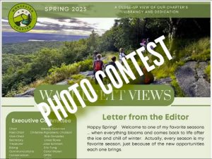 Photo Contest